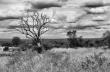 _mg_5563-edit.jpg