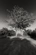 _mg_6184-edit.jpg