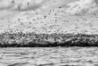 _mg_1625-edit.jpg