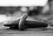 _mg_8625-edit-2.jpg