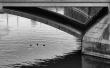 _mg_8681-edit.jpg